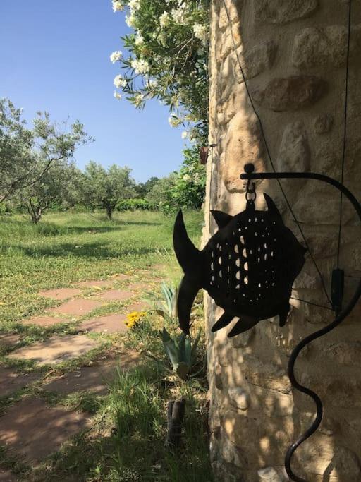 Gite Des Amis Domaine De Mas Caron Caromb 외부 사진