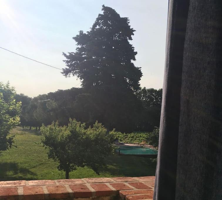 Gite Des Amis Domaine De Mas Caron Caromb 외부 사진