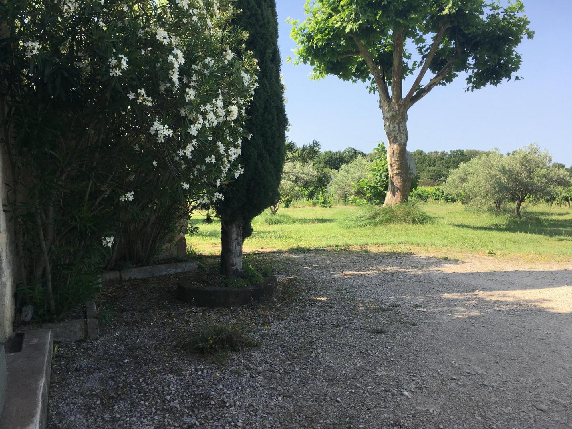 Gite Des Amis Domaine De Mas Caron Caromb 외부 사진