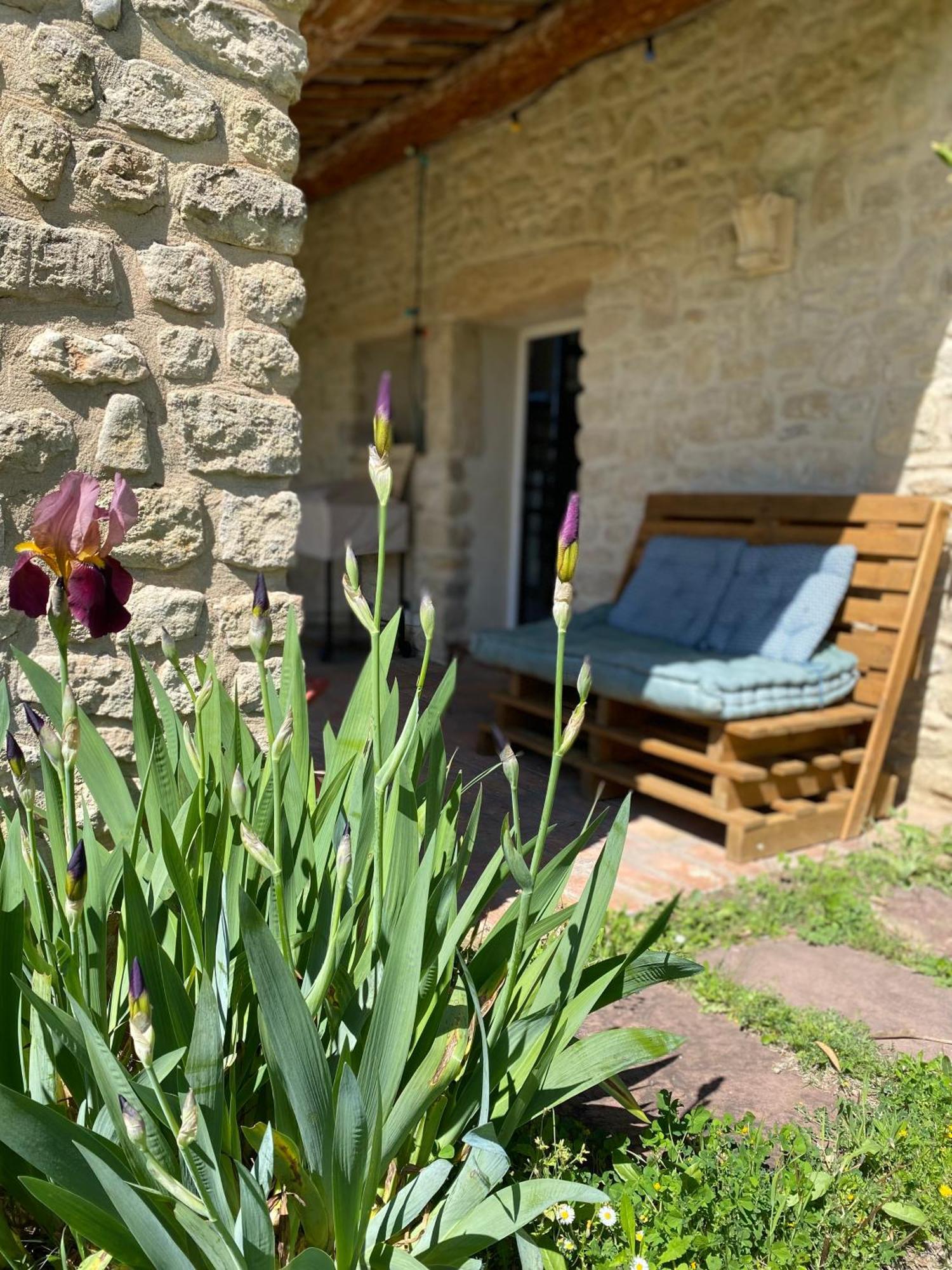 Gite Des Amis Domaine De Mas Caron Caromb 외부 사진